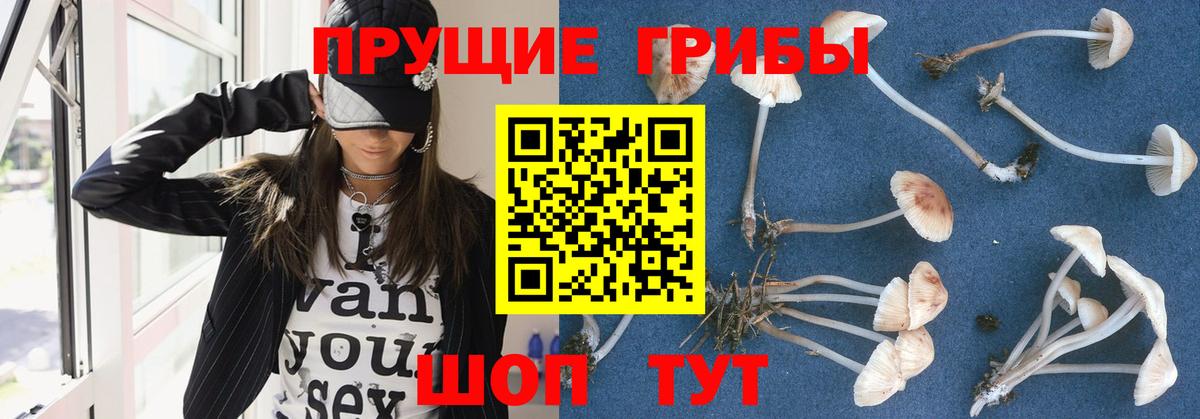 что такое наркотик  Псилоцибиновые грибы Psilocybine cubensis  Вход с VPN  Старый Оскол 